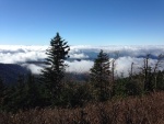 view from Clingman's Dome Observation Tower